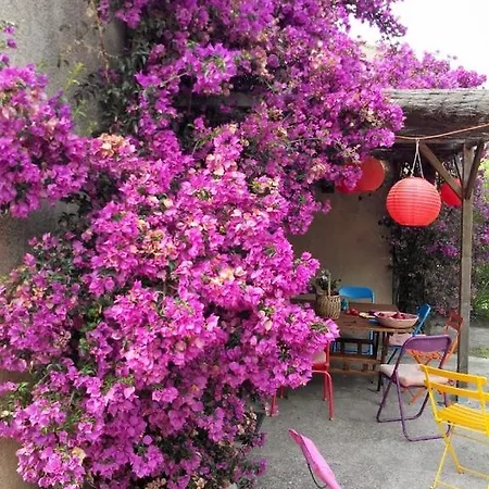 Maison De Vacances - Corse Barbaggio